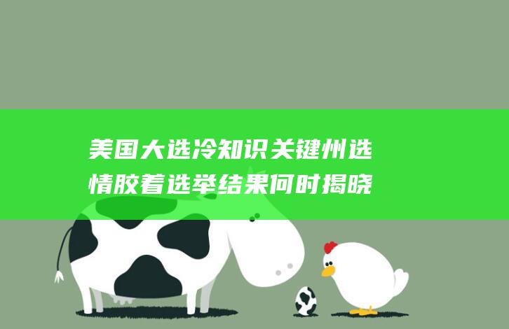 美国大选冷知识 关键州选情胶着 选举结果何时揭晓 (美国大选最冷门的一次)