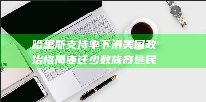 哈里斯支持率下滑 美国政治格局变迁 少数族裔选民疏远 (哈里斯支持率造假)