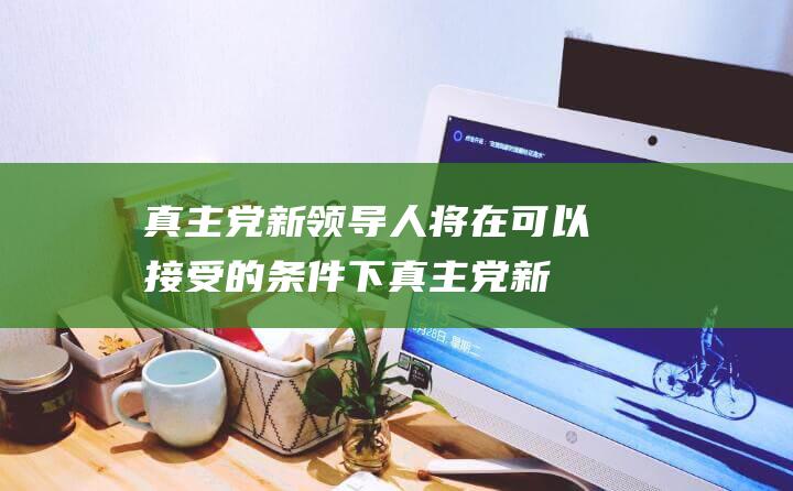 真主党新领导人 将在可以接受的条件下 (真主党新领导被斩首了吗)