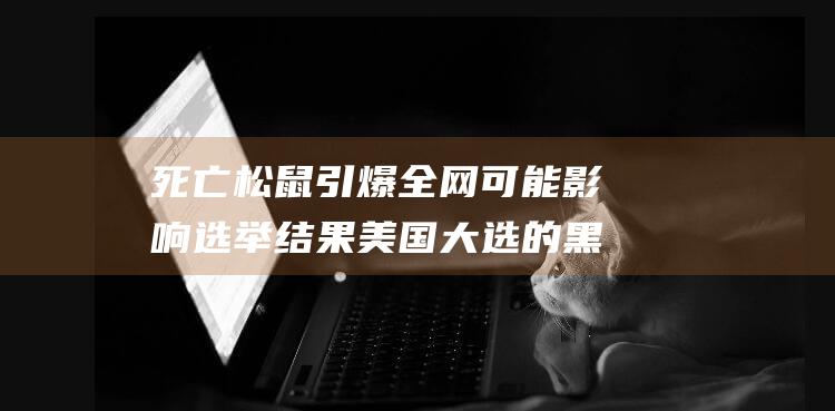 死亡松鼠引爆全网 可能影响选举结果 美国大选的黑天鹅事件 (死松鼠图片)