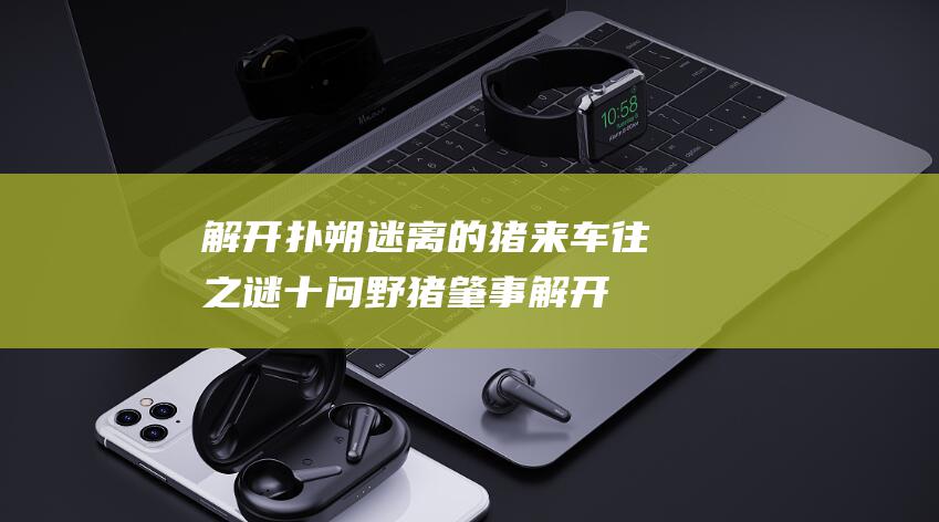 解开扑朔迷离的猪来车往之谜 十问野猪肇事 (解开扑朔迷离什么意思)