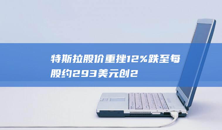 特斯拉股价重挫12% 跌至每股约293美元 创2020年9月以来最大跌幅 (特斯拉股价重挫12%)