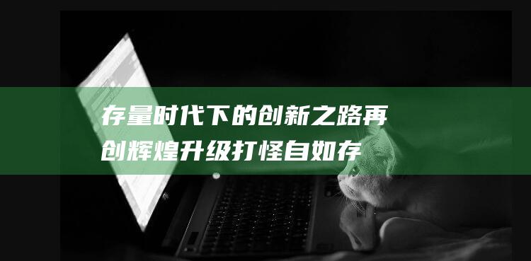 存量时代下的创新之路 再创辉煌 升级打怪 自如 (存量时代下的企业增长策略)