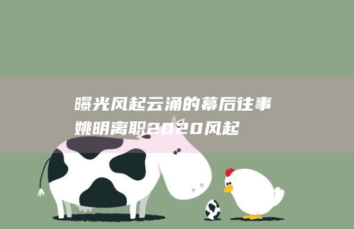 曝光风起云涌的幕后往事 姚明离职 (2020风起云涌)