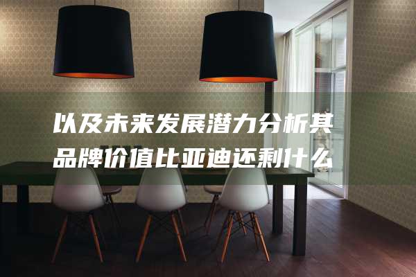 以及未来发展潜力 分析其品牌价值 比亚迪还剩什么 技术优势 除去销量 (以及未来发展的路径作为灾害性探测领域的国之重器)