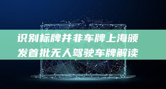 识别标牌并非车牌 上海颁发首批无人驾驶车牌 解读 (识别标志的作用)