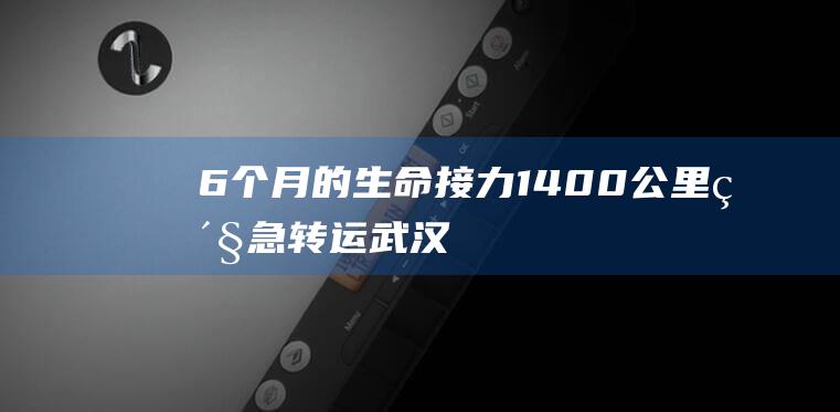 6个月的生命接力！1400公里紧急转运武汉 (6个月孩子的正常生命体征)