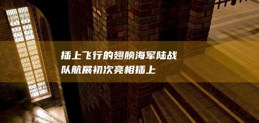 插上飞行的翅膀！海军陆战队航展初次亮相 (插上飞行的翅膀450字优秀作文)