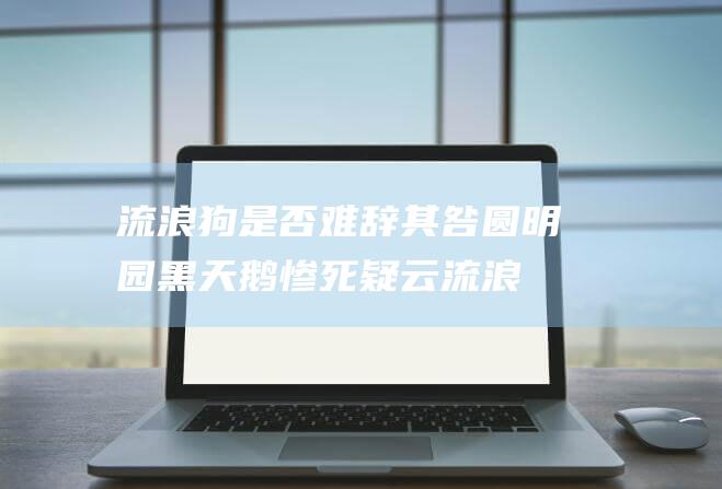 流浪狗是否难辞其咎 圆明园黑天鹅惨死疑云 (流浪狗是否难养)