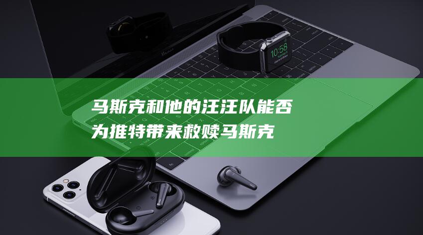 马斯克和他的汪汪队 能否为推特带来救赎 (马斯克和他的妈妈)