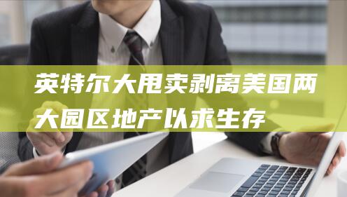英特尔大甩卖！剥离美国两大园区地产以求生存 (英特尔出售)