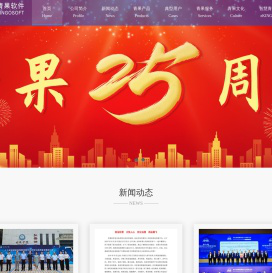 青果软件集团有限公司