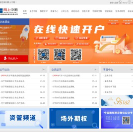 网上中期