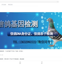 尊贵赛鸽网-赛鸽,信鸽拍卖，信鸽基因DNA检测，汇聚国内外赛鸽资讯，赛鸽视频|“有态度，有温度，有深度“的赛鸽爱好者门户网站