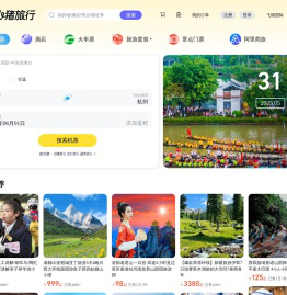 飞机票查询-机票预订、酒店预订查询、客栈民宿、旅游度假、门票签证【飞猪旅行】