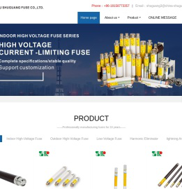 温州市曙光熔断器有限公司 - 熔断器,高压熔断器,曙光熔断器,避雷器,可卸式避雷器,绝缘子,跌落式熔断器,高压限流熔断器,变压器保护用熔断器,互感器保护用熔断器,电机保护用熔断器,电容保护用熔断器,防爆开关熔断器,熔丝器,高压熔丝,熔断管,低压熔断器,穿墙套管,户内高压限流熔断器,低压熔断器,高压熔芯,熔断器底座,低压避雷器,熔丝带扣,绝缘护罩,变压器护罩,RT18熔断器,隔离开关,无刷无环起动器
