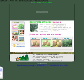 阳山水蜜桃※水蜜桃※无锡水蜜桃※无锡阳山水蜜桃网※桃※桃苗