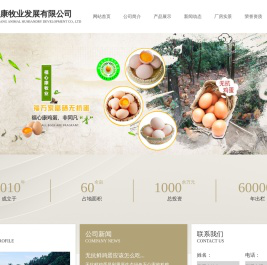 无抗鲜鸡蛋_福心康富硒无抗蛋-山东福心康无抗鸡蛋厂家