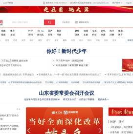 大众网