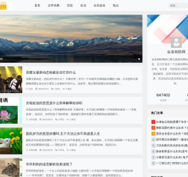 金泉翱联网