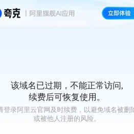 域名过期