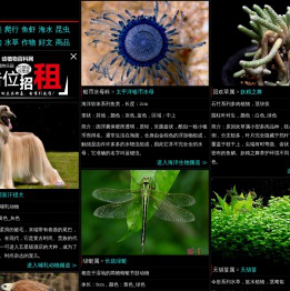 Sbike，识百客，动植物百科网，国内最专业的动物、宠物、植物、花卉科普信息分类、资料速查网站，足不出户的动植物乐园！