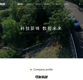 锋巢集团