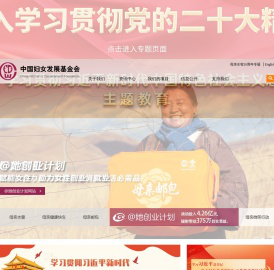 中国妇女发展基金会