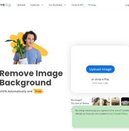 在线抠图软件_图片去除背景 | remove.bg – remove.bg