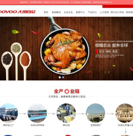 河南大用实业有限公司
