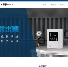 河北正润仪表有限公司