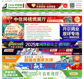 中信网-信鸽信息网