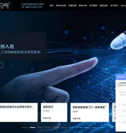 数聚股份-低代码开发平台|Chat BI|数字化转型|数据分析|数据治理|AI数据中台