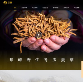 珍峰野生冬虫夏草_官网