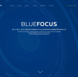 蓝色光标集团-BlueFocus