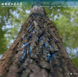 哈尔滨工业大学