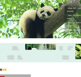 熊猫频道_央视网