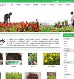 [长景园林] 苗木批发基地-绿化公司-提供苗木报价-品种名称图片查询-三点水商贸