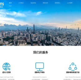 蓝思网络技术有限公司
