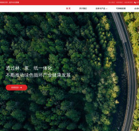 金光集团APP(中国)-林浆纸一体化-纸业集团公司